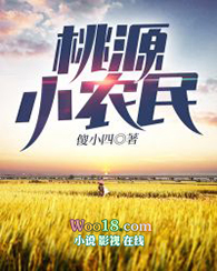 桃源乡村小神农